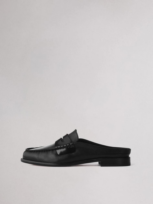 Carter Mule