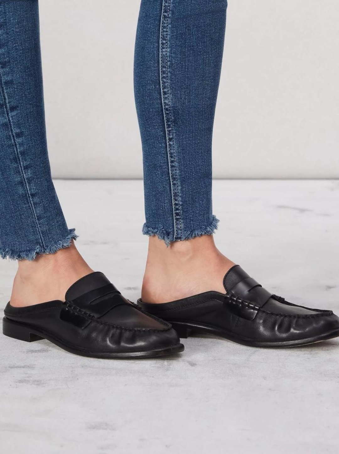 Carter Mule